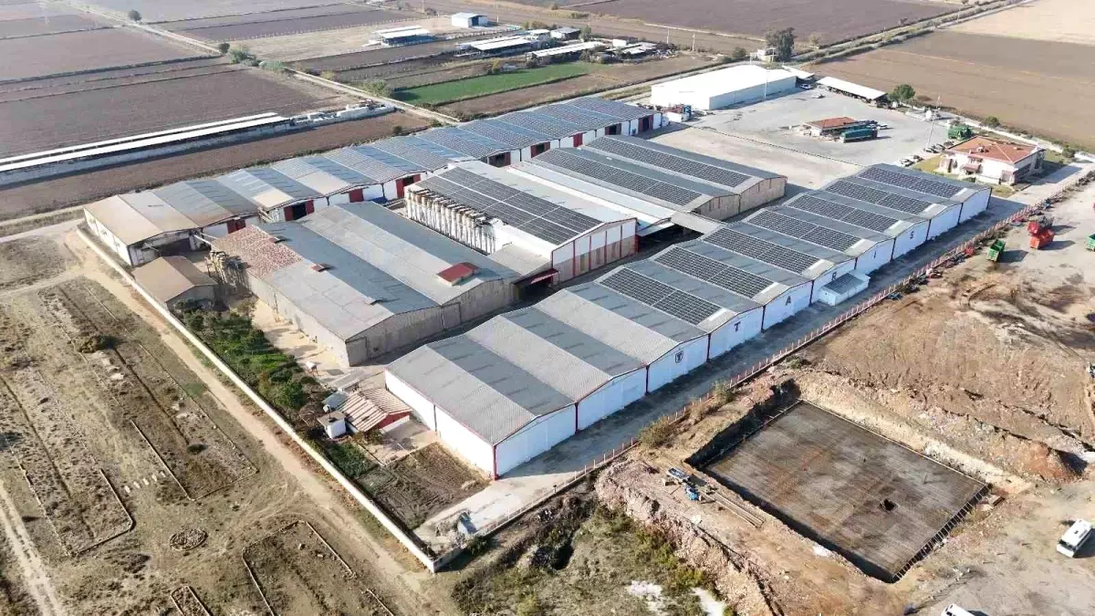 Aydın'da Güneş Enerjisi Sistemi Açılışı Gerçekleşti