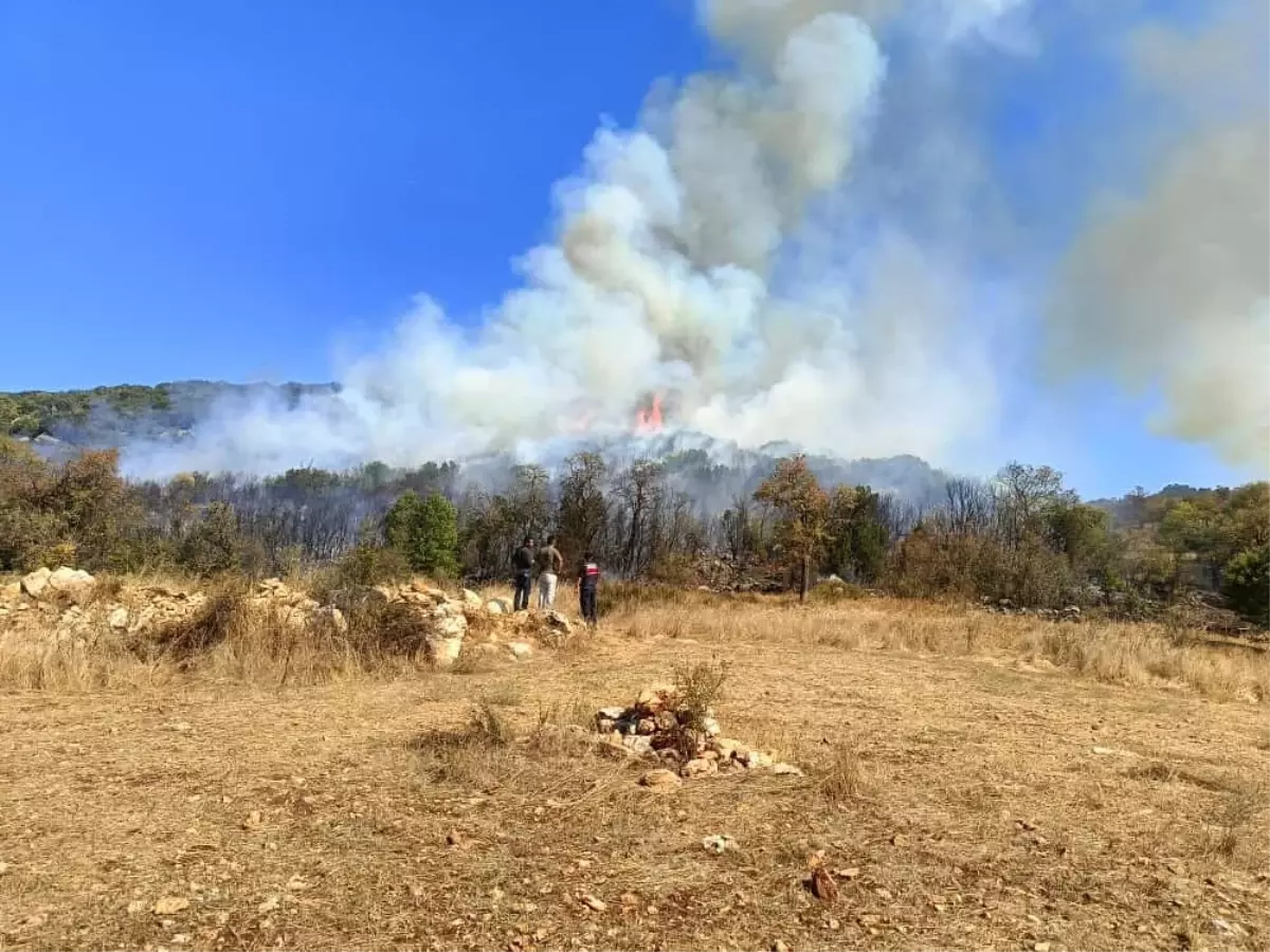 Burdur'da Orman Yangını: Ekipler Mücadele Ediyor