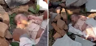 Kayalıklarda ağzı taşla kapatılmış 20 günlük bebek bulundu!