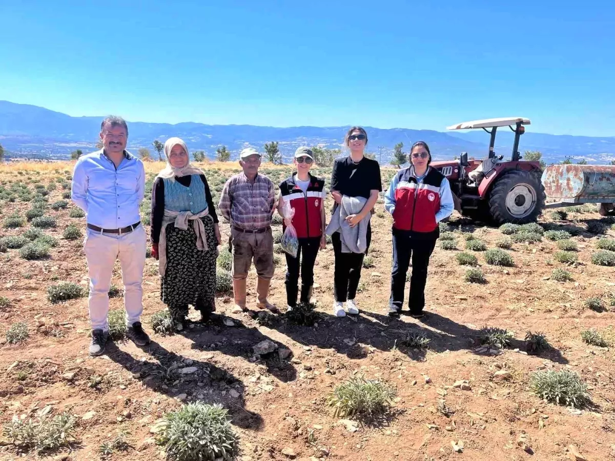 Kütahya'da Organik Geçiş Sertifikası İçin Kontroller Yapıldı