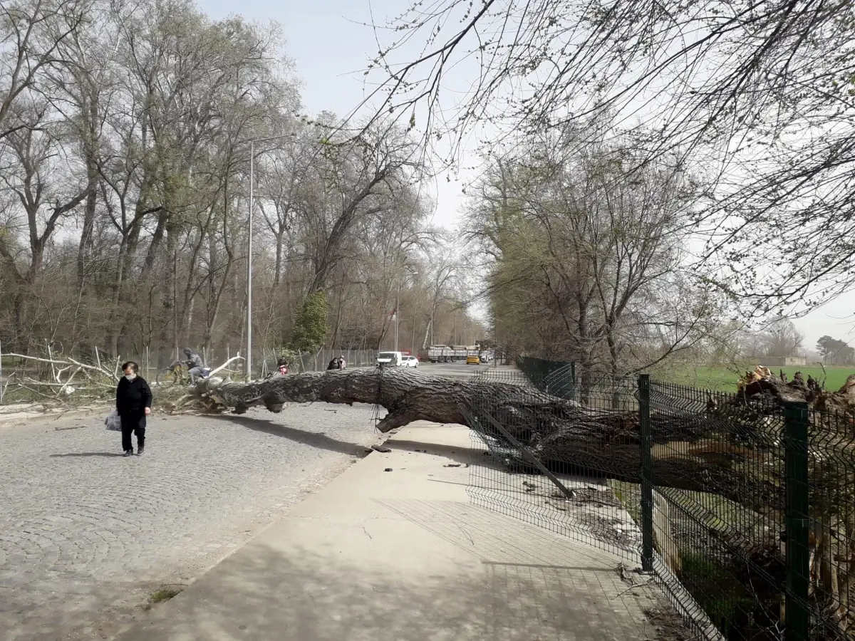 Meteoroloji'den Marmara Bölgesi İçin Kuvvetli Rüzgar Uyarısı
