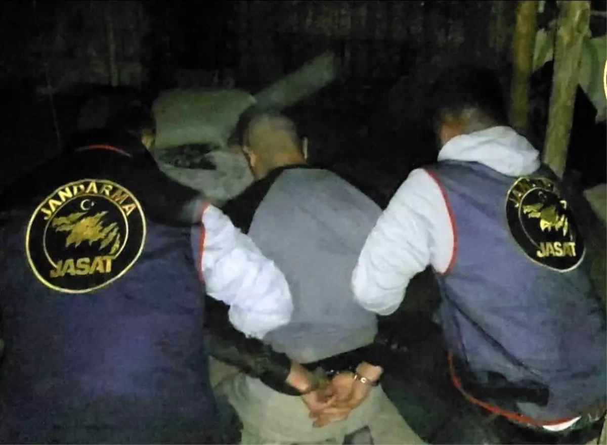 Muş'ta Jandarma Operasyonu: İki Hükümlü Yakalandı