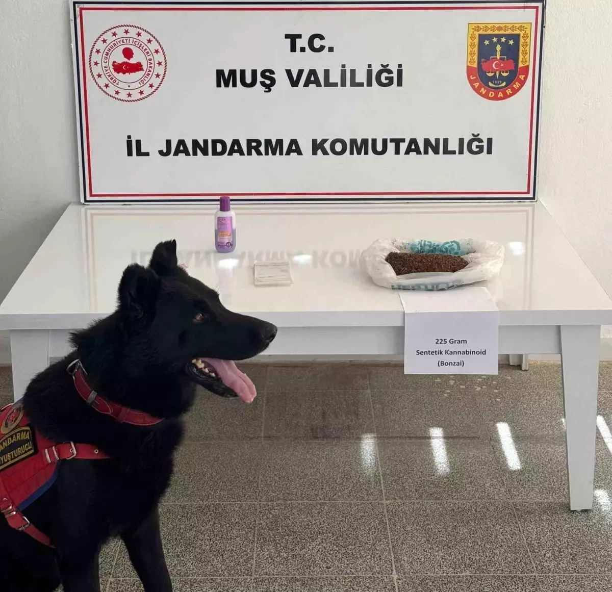 Muş'ta Uyuşturucu Operasyonu: İki Şüpheli Gözaltında