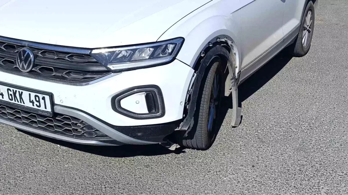Antalya'da otomobilin çarptığı köpek telef oldu