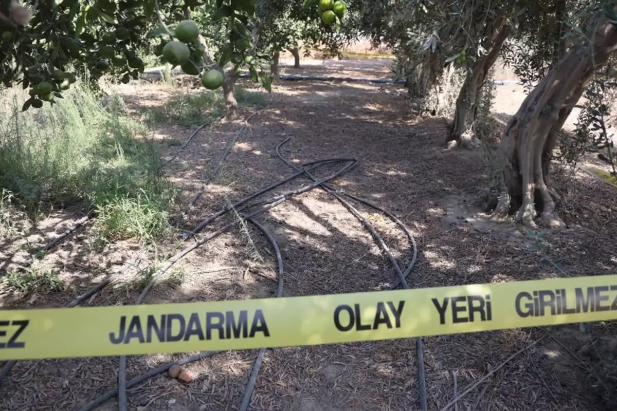 3 kuruş para için arkadaşını satırla katletti