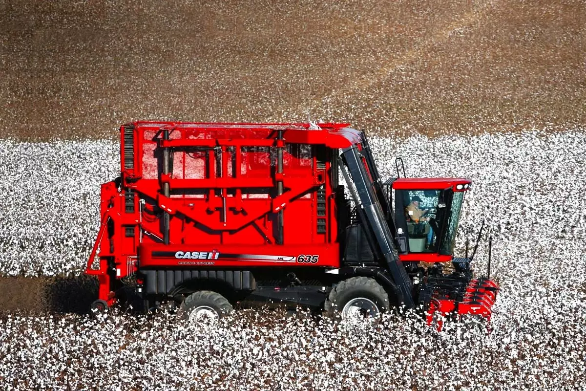 Söke'de 2025 Pamuk Hasat Ücreti 1300 TL Olarak Belirlendi