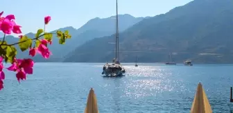 Türkiye'nin ilk deniz ürünleri festivali