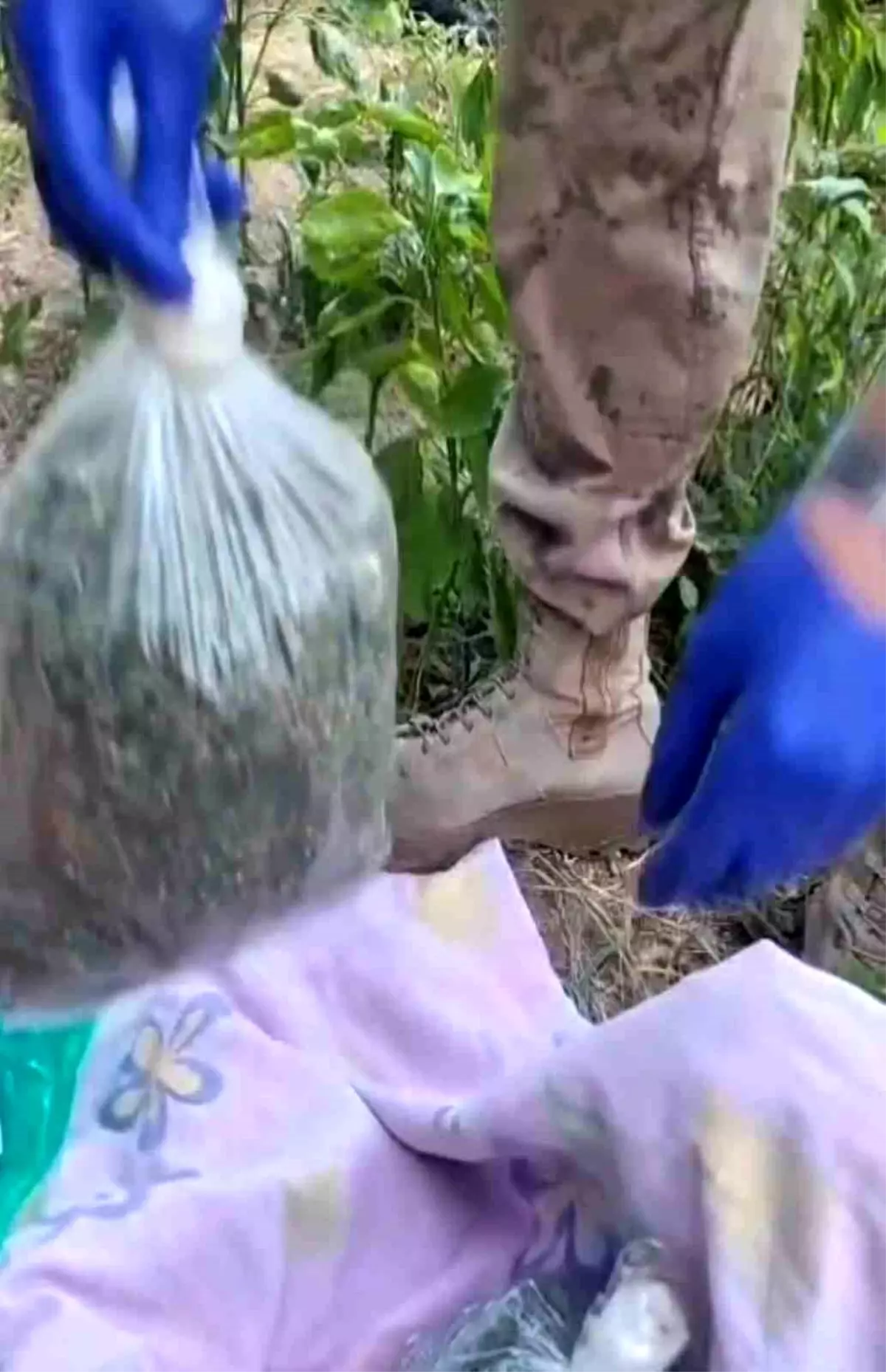 Batman'da Uyuşturucu Operasyonu: 2 Kilo 706 Gram Esrar Ele Ge geçirildi