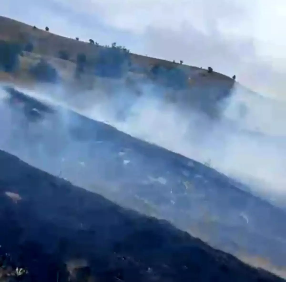 Bolu'da Orman Yangını Kontrol Altına Alındı