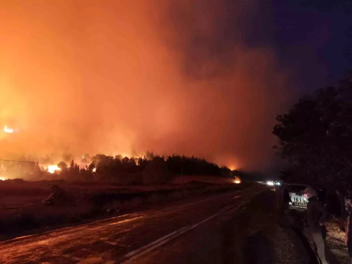 Bursa'da Orman Yangını Büyüyor, Ekipler Mücadele Ediyor