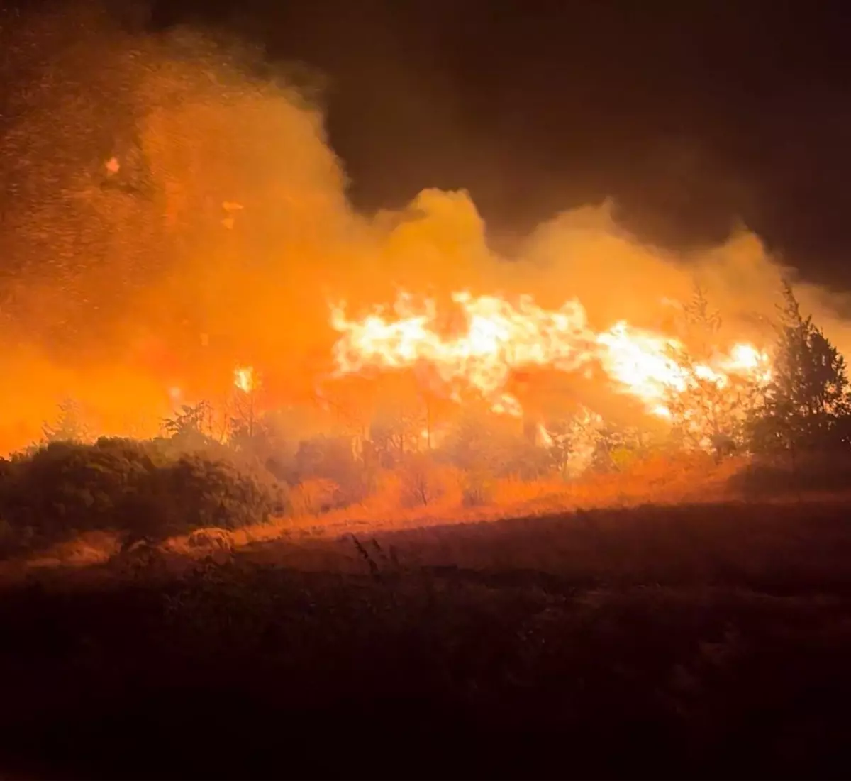 Bursa'da Orman Yangını: Bazı Yerleşim Alanları Tahliye Edildi