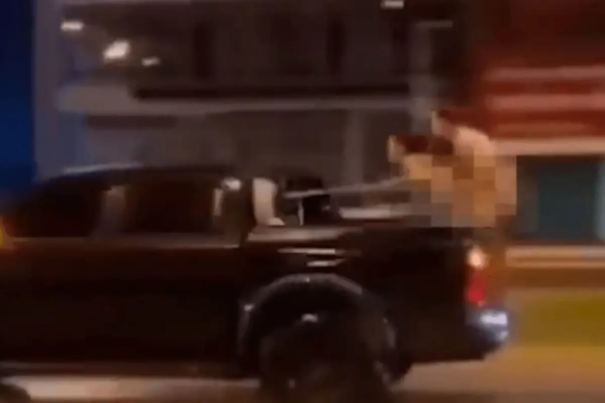 Hareket halindeki kamyonetin arkasında ilişkiye girdiler