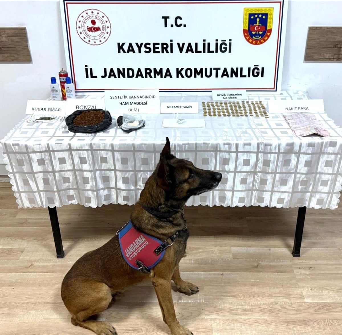 Kayseri'de Uyuşturucu ve Tarihi Sikke Operasyonu
