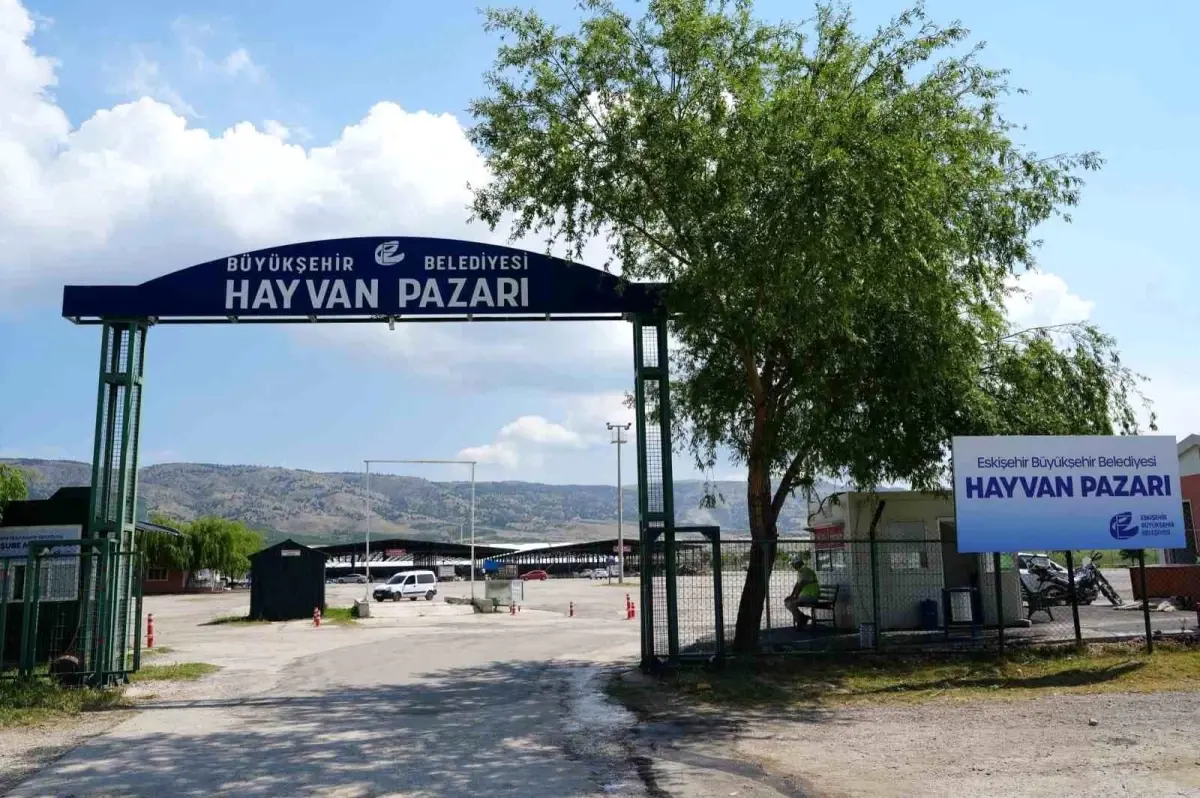 Eskişehir'de Şap Hastalığı Nedeniyle Hayvan Pazarı Kapatıldı