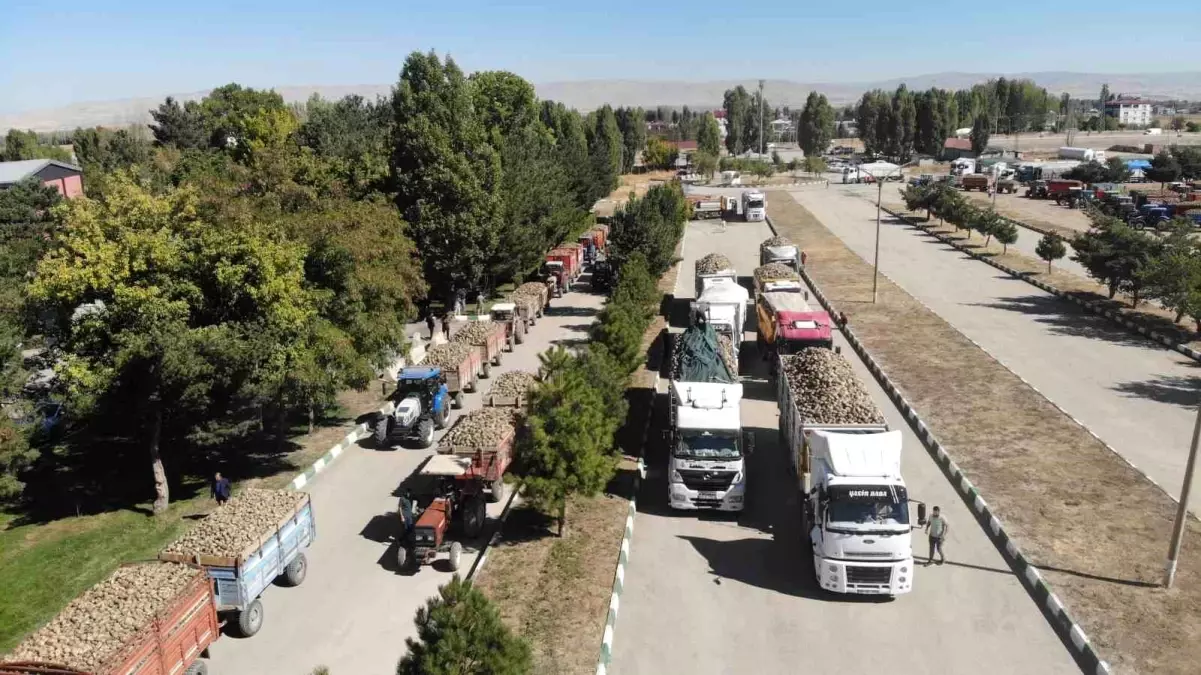 Muş'ta 44. Şeker Pancarı Alım Kampanyası Başladı