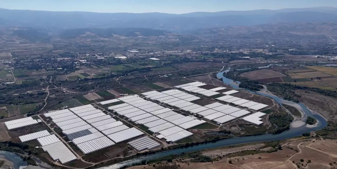 Tokat'ta Kesme Çiçek Üretimi İstihdamı Artırıyor