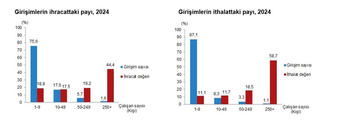 TÜİK 2024 Dış Ticaret İstatistiklerini Açıkladı