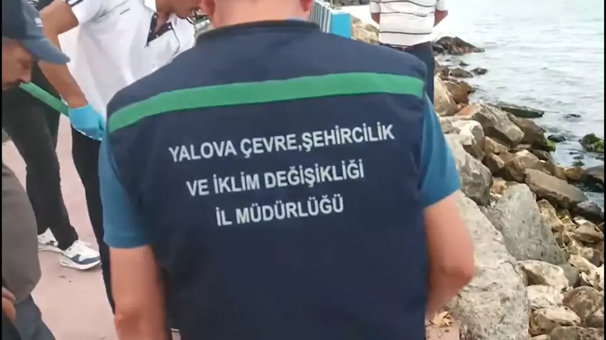 Yalova'nın Çınarcık ve Koru Belediyelerine Çevre Kirliliğinden Cezalar