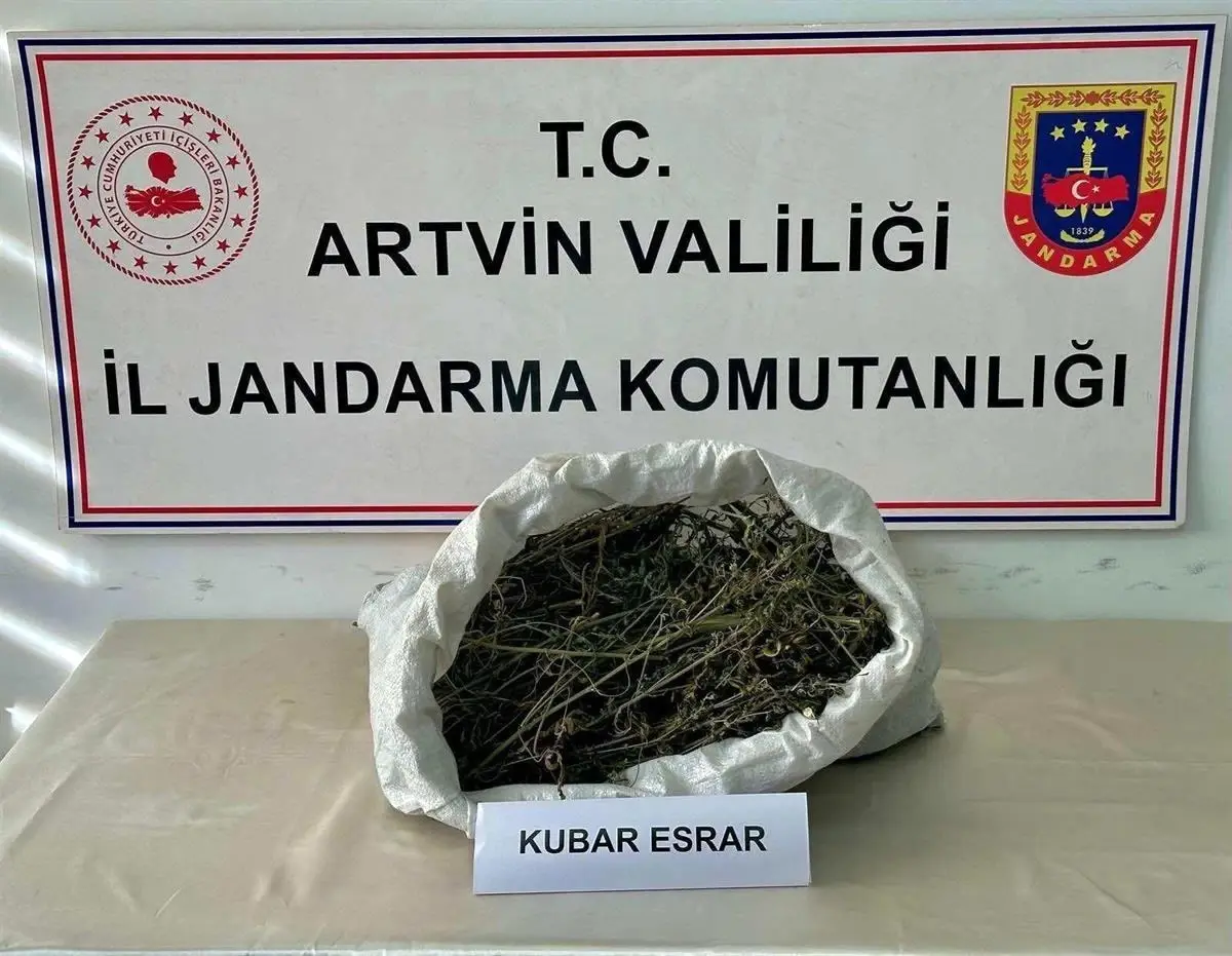Artvin'de Uyuşturucu Operasyonu: 1 Kilo Esrar Ele Geçirildi