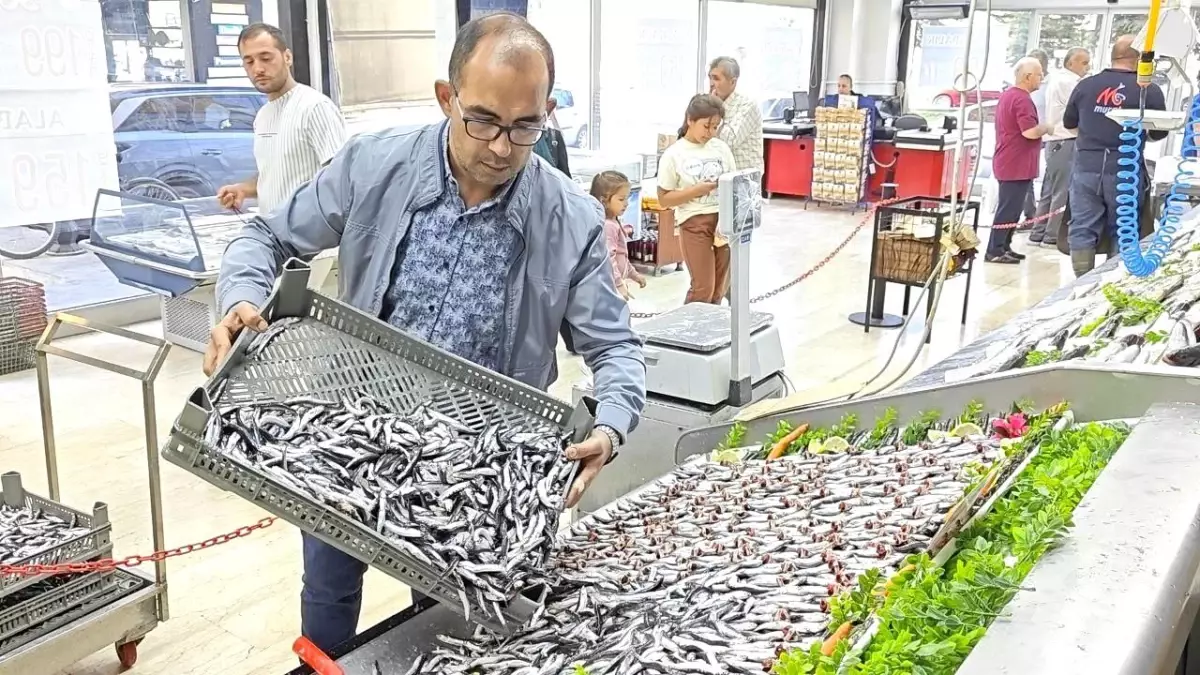 Balık Sezonu Açıldı: 30'dan Fazla Çeşit Tezgahlarda