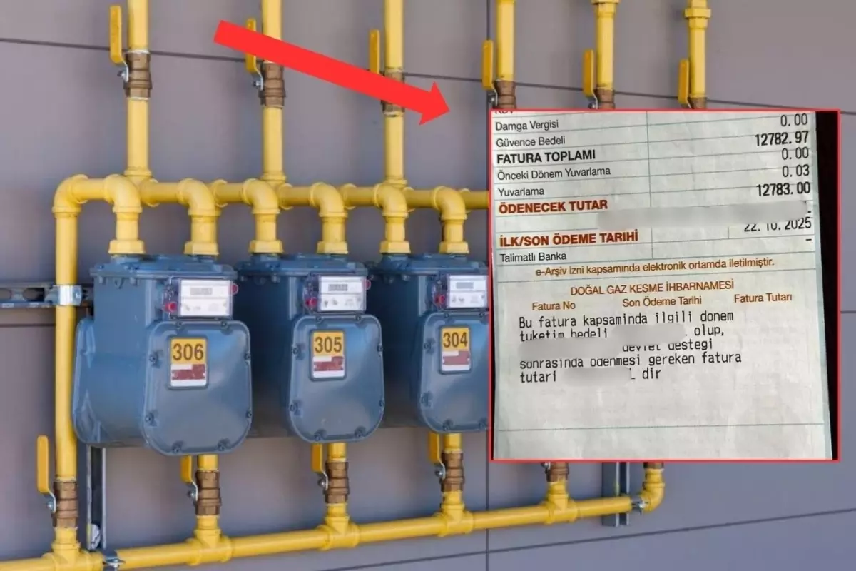 Doğalgaz faturası şoku! Gelen ücret dudak uçuklattı