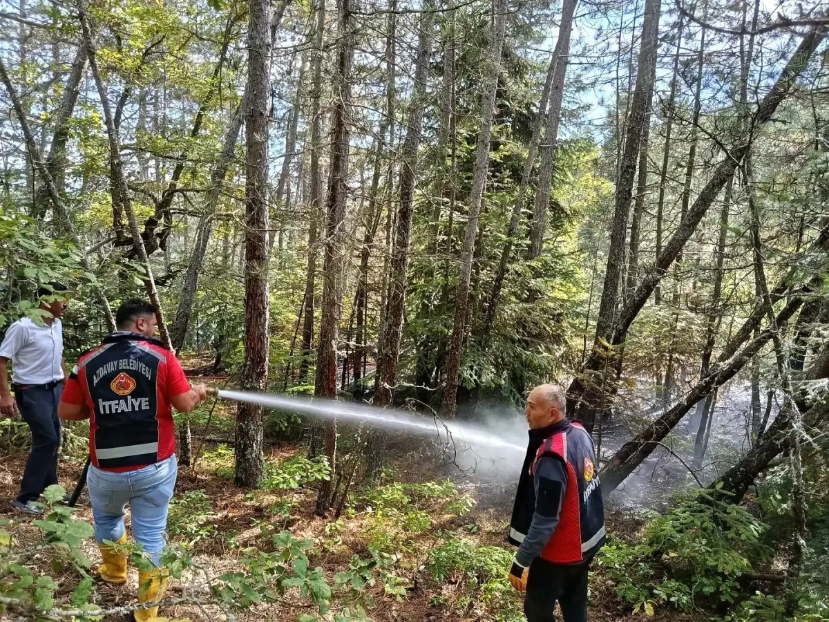 Kastamonu'da Orman Yangını Kontrol Altına Alındı