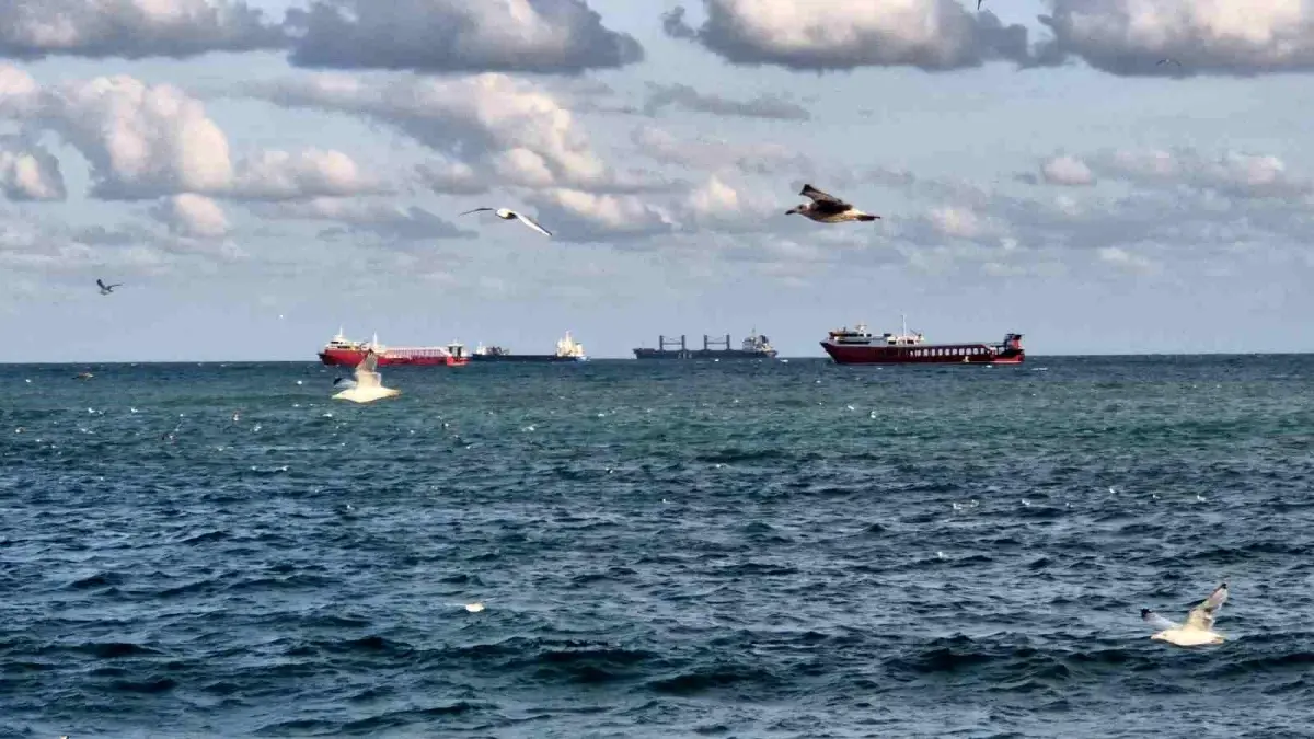 Marmara Denizi'nde Poyraz Nedeniyle Deniz Ulaşımı Aksamış Durumda