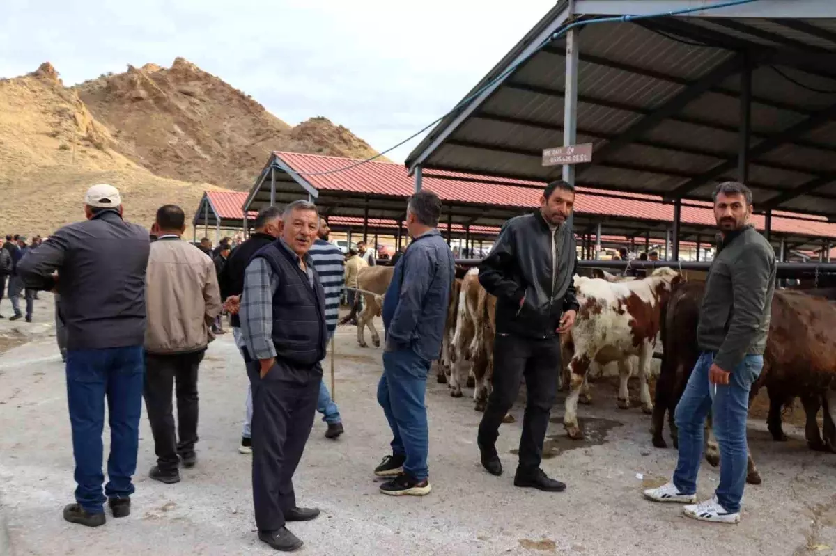 Oltu Canlı Hayvan Pazarı Yeniden Açıldı