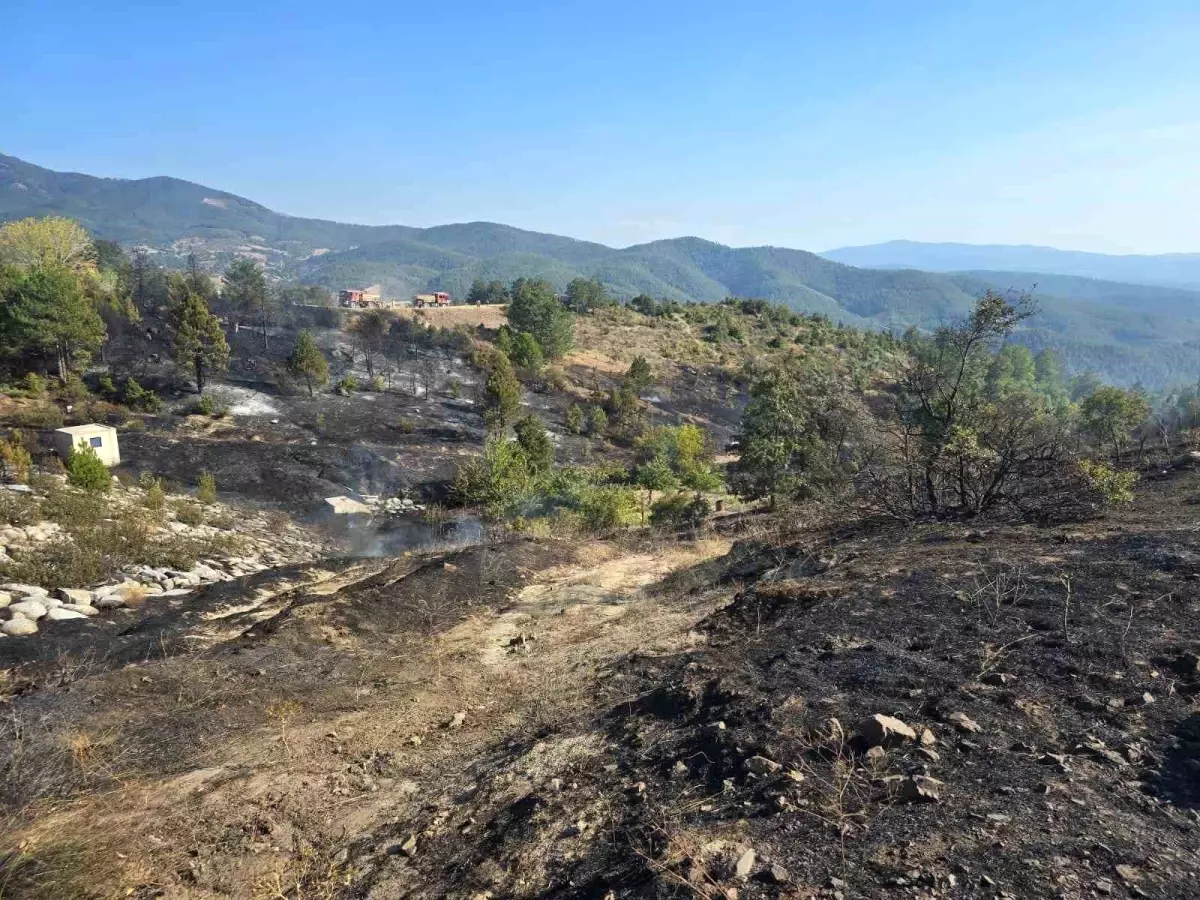Bursa'da Piknik Yangını: Helikopterle Müdahale