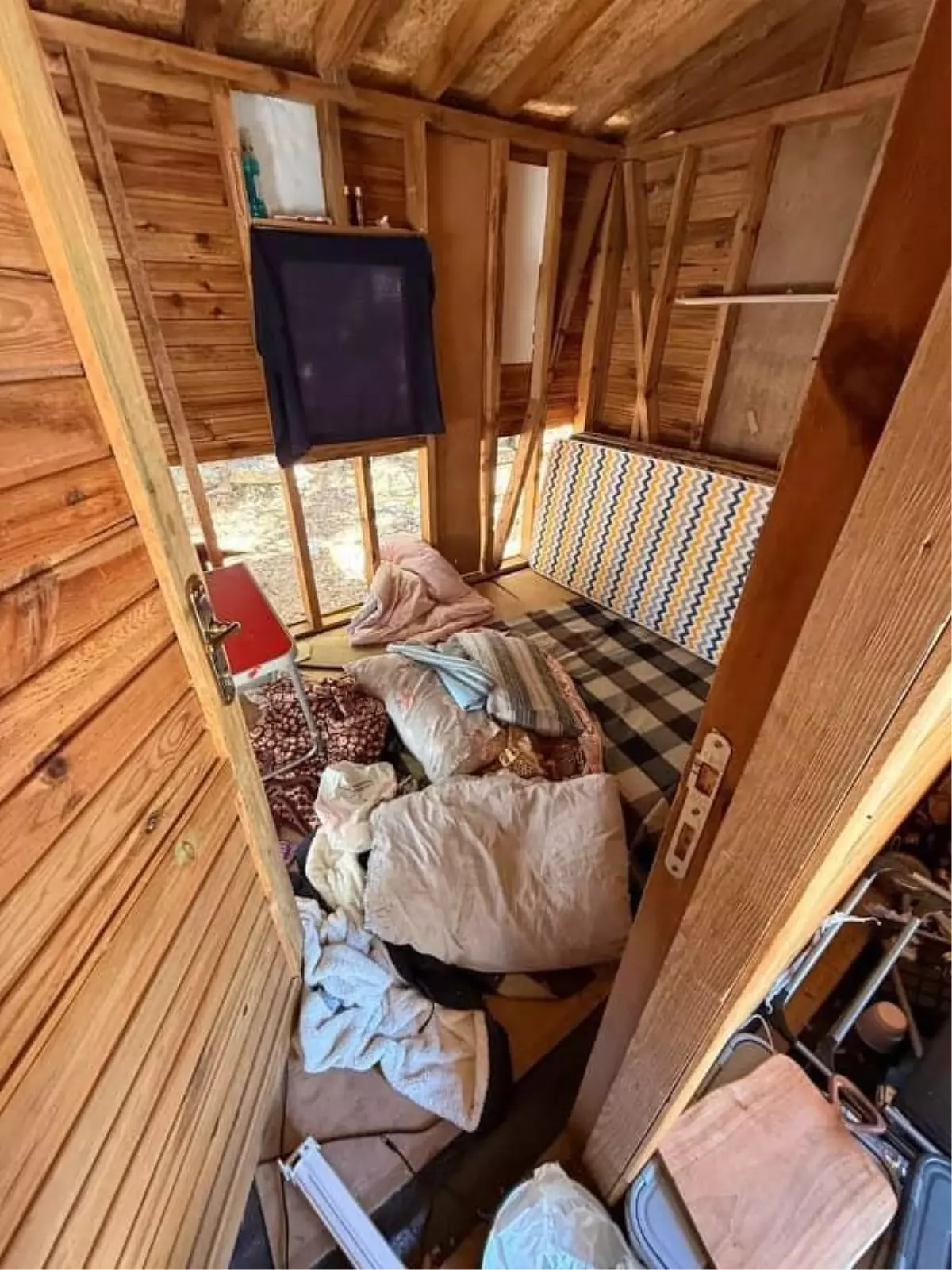 Uludağ'da Ayı Barakaya Girdi, Eşyaları Parçaladı