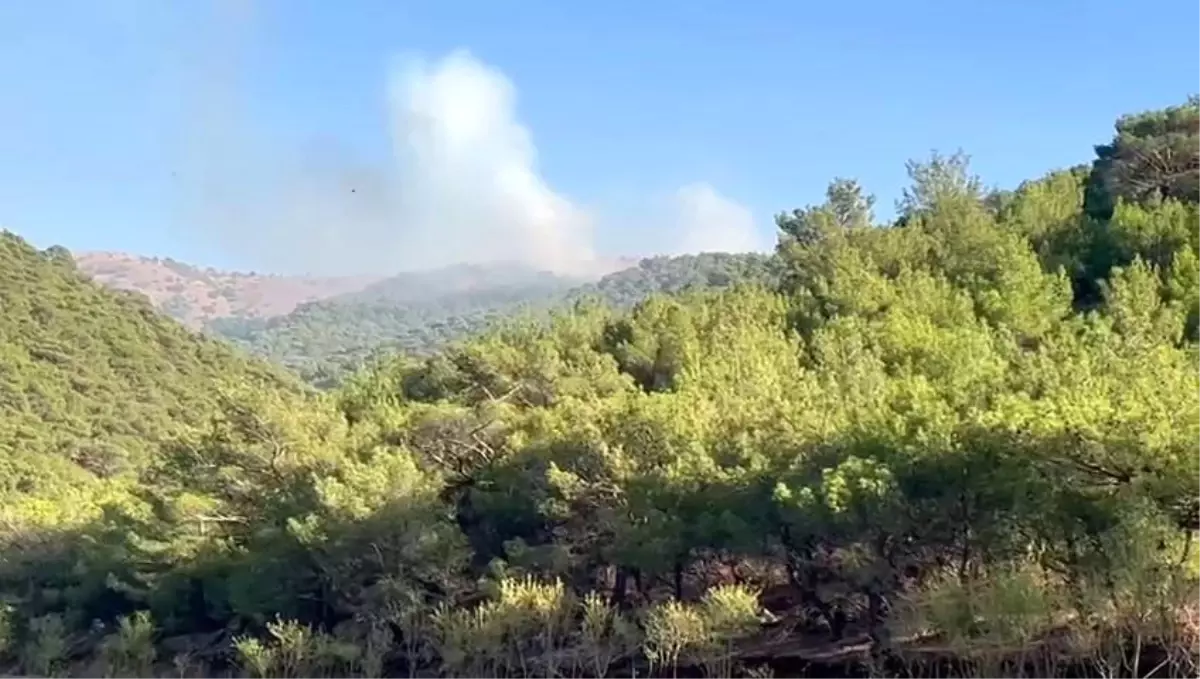 Adıyaman'da Orman Yangını Kontrol Altına Alındı
