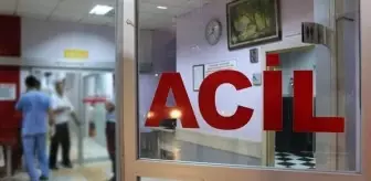 Alzheimer hastası denizde ölü bulundu