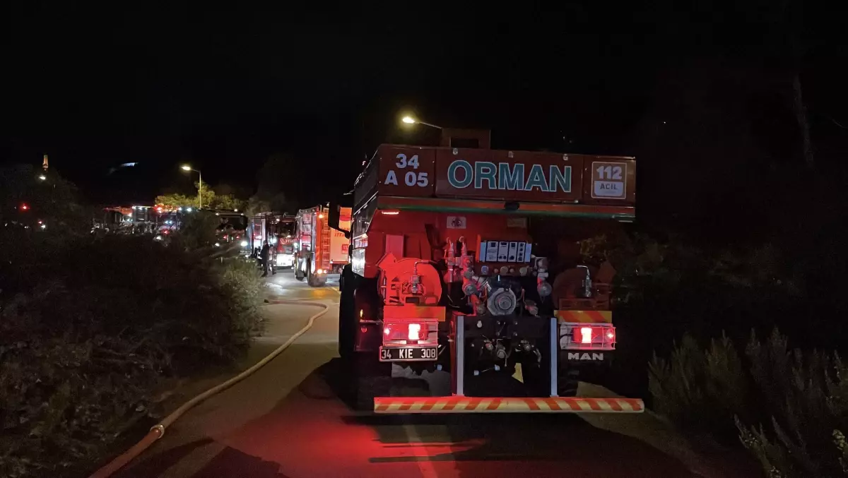 Beykoz'da Ormanda Yangın Çıktı, İtfaiye Ekipleri Zamanında Müdahale Etti