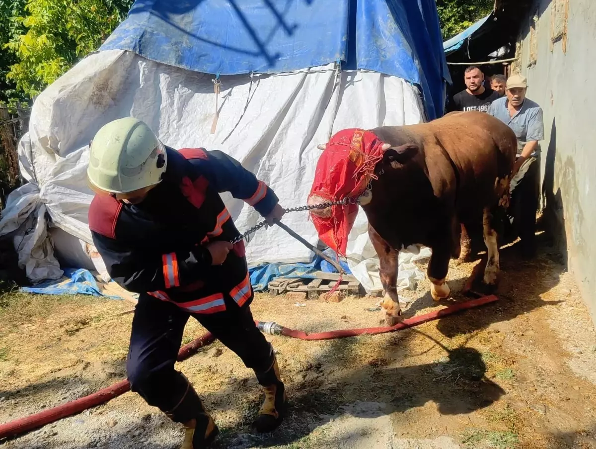 Malatya'da Ahırda Yangın Çıktı, İtfaiye Müdahale Etti