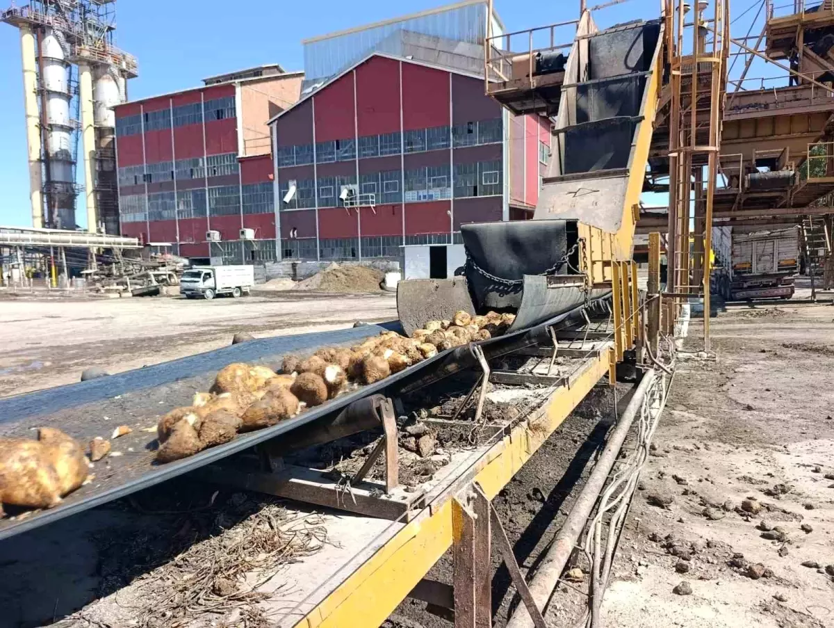 Malatya Şeker Fabrikası, 2025-2026 Sezonunda 62 Bin Ton Şeker Üretmeyi Hedefliyor