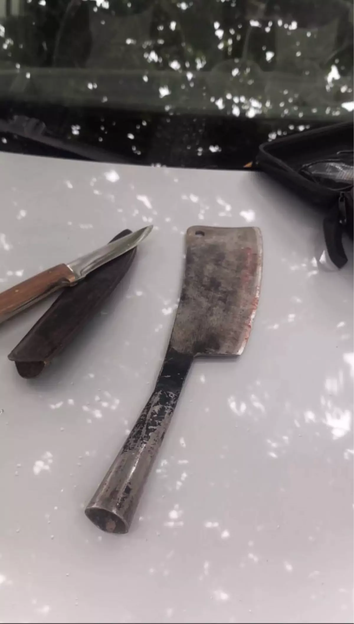 Yasa Dışı Avcılığa Dev Cezalar: 620 Bin TL