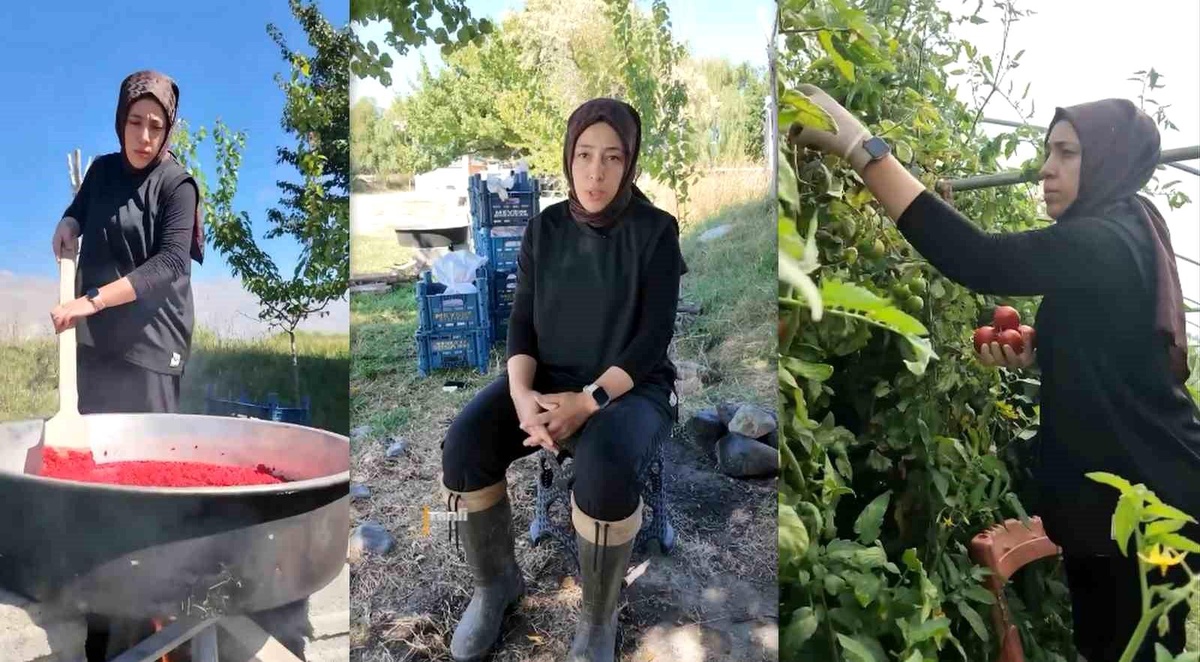 Erzincan'da Kadın Girişimciye Devlet Desteğiyle Sera Kurdu