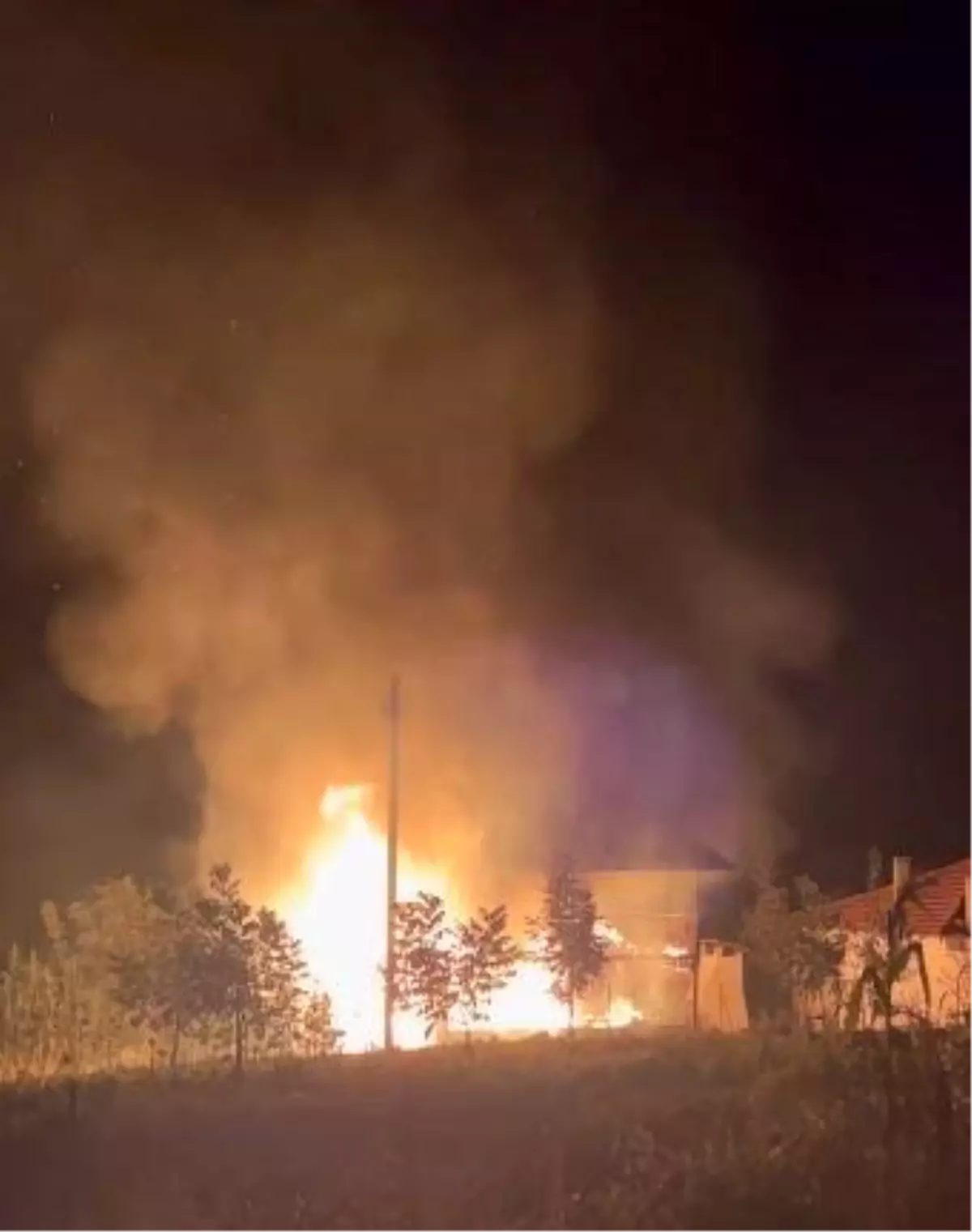 Denizli'de Yangın Paniği: Kamelyadan Eve Sıçradı