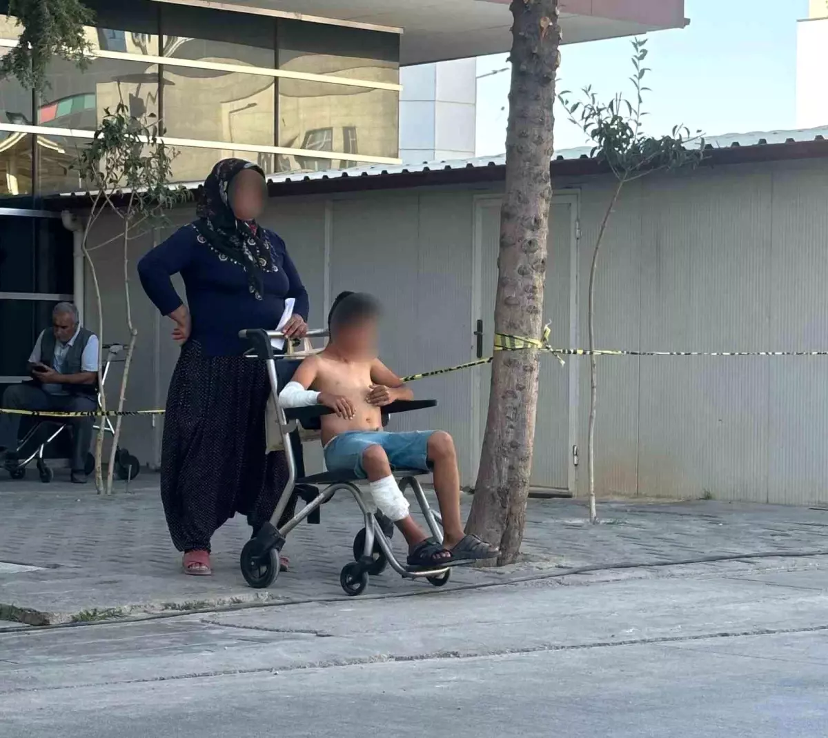 Adıyaman'da Başboş Köpeğin Saldırısı: 11 Yaşındaki Çocuk Yaralandı