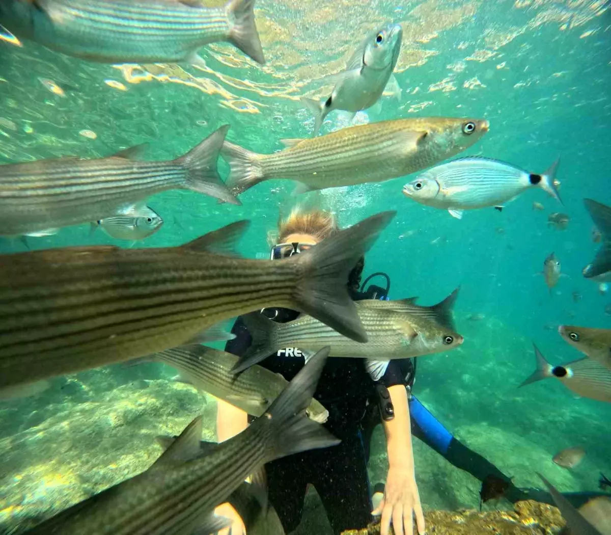 Marmaris, Dalış Turizmiyle Yerli ve Yabancı Turistlerin Gözdesi Oluyor