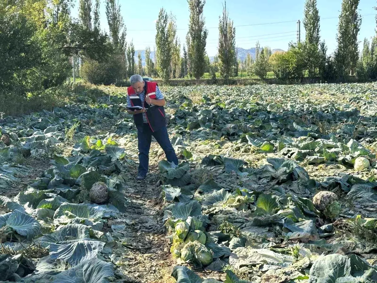 Afyonkarahisar'da Tarım Ürünleri Kontrolleri Devam Ediyor