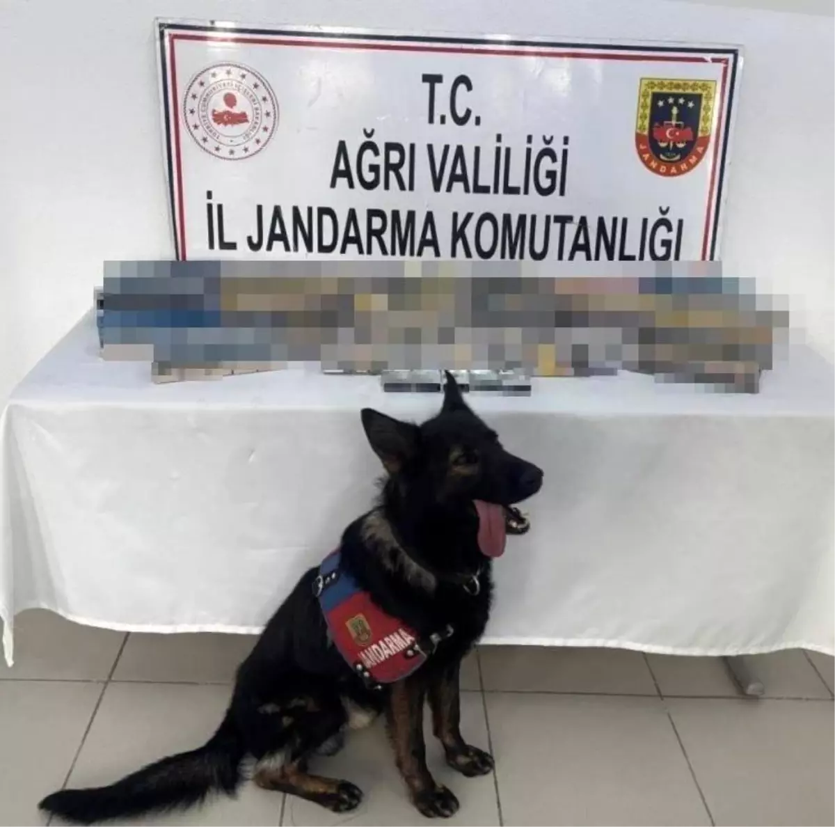 Ağrı'da Gümrük Kaçağı 1.227 Paket Sigara Ele Geçirildi