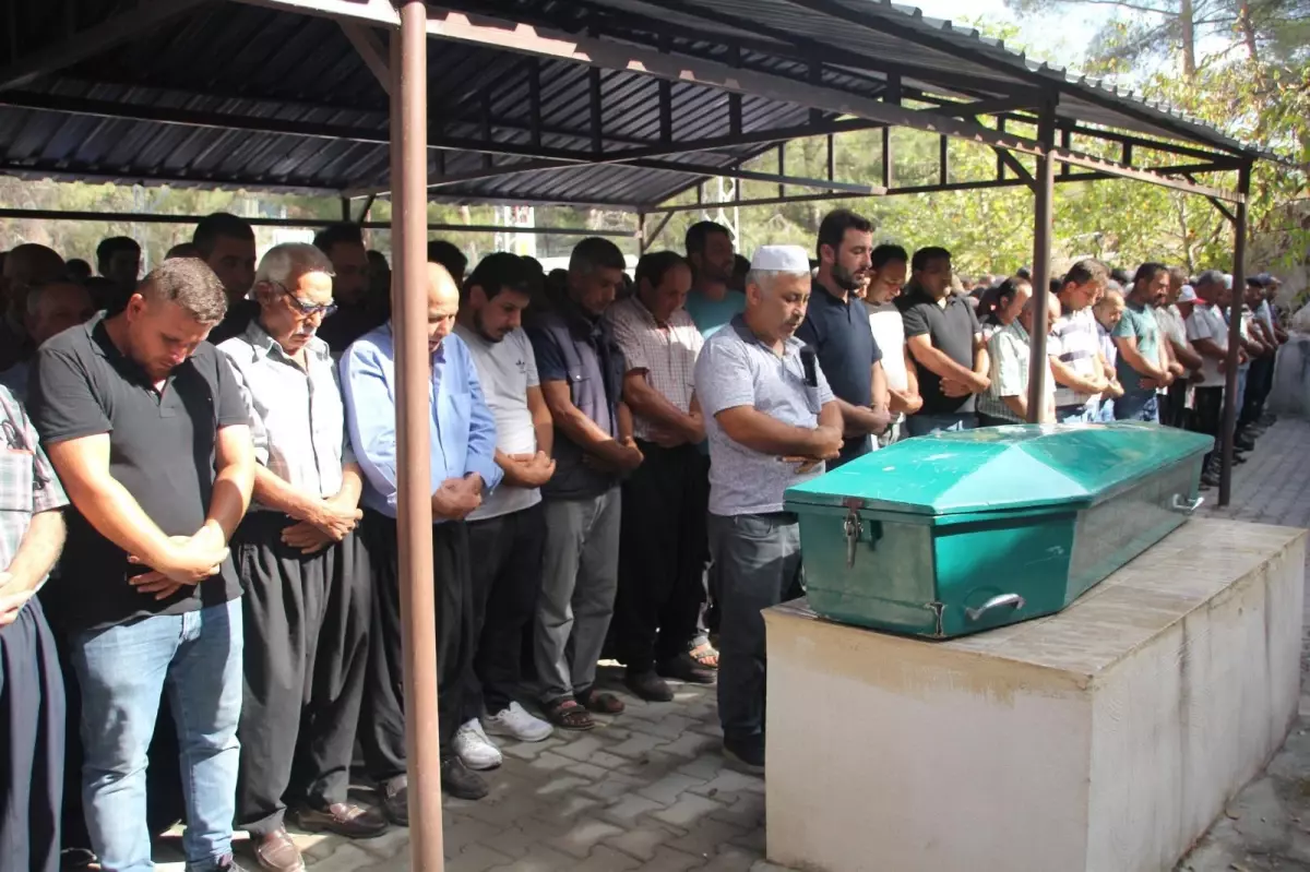 Ceviz Toplamak İçin Ağaca Çıkan Genç, Elektrik Akımına Kapıldı ve Trafik Kazasında Hayatını Kaybetti