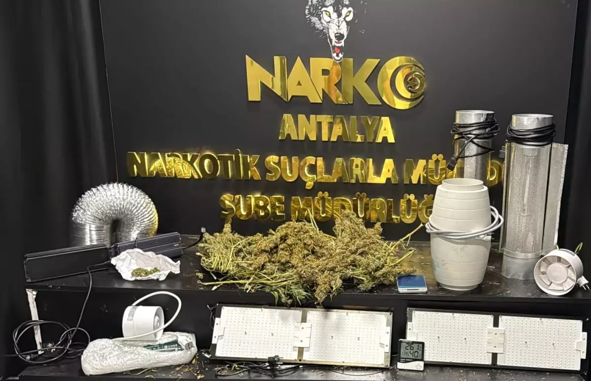 Antalya'da Narkotik Operasyonları: 29 Şüpheli Yakalandı