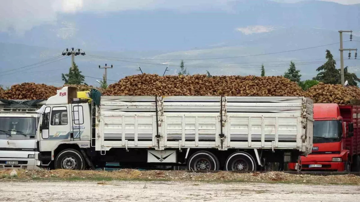 Burdur Şeker Fabrikası'nda 2025-2026 Pancara Alım Kampanyası Başladı