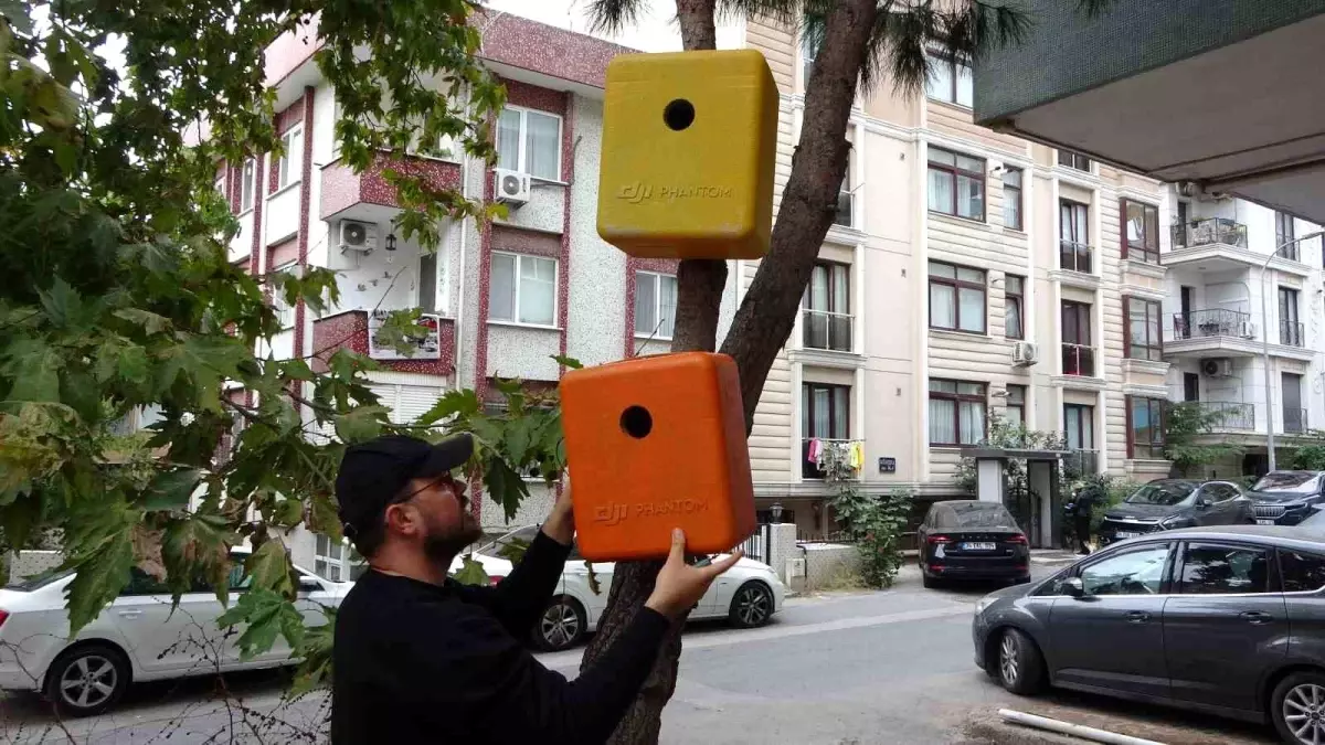 Maltepe'de Eski Dron Çantalarıyla Kuş Yuva Projesi