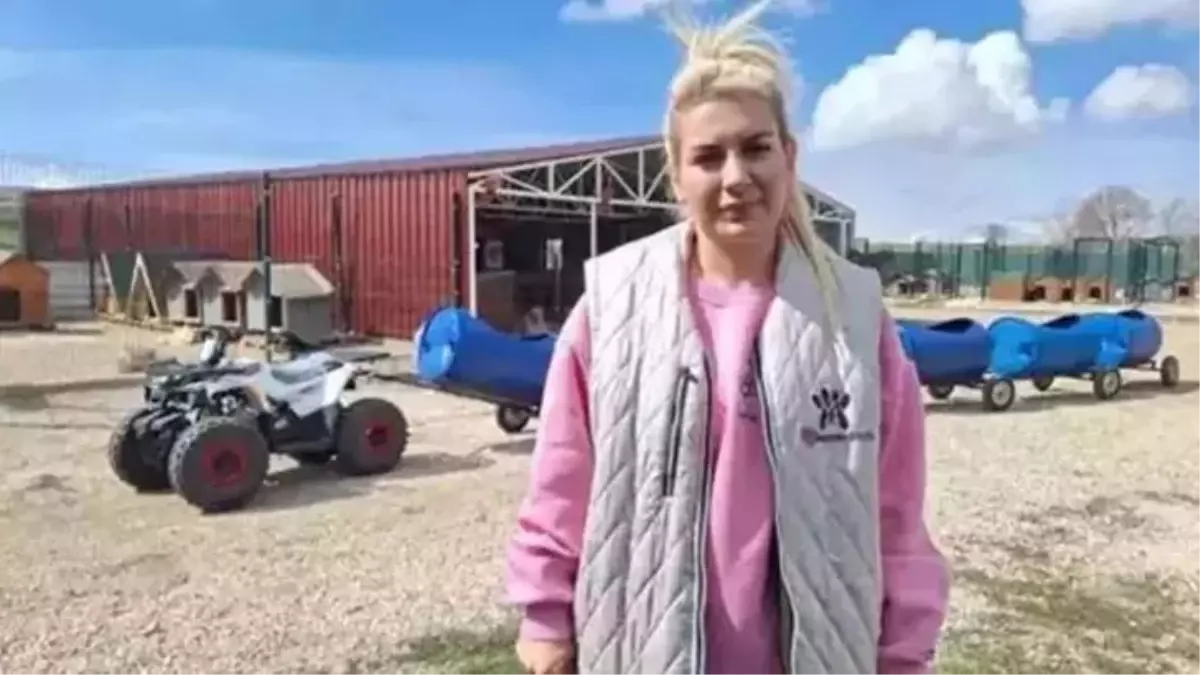 Köpek Sahiplendiren Dernek Başkanı Beraat Etti, Para Ceza Aldı