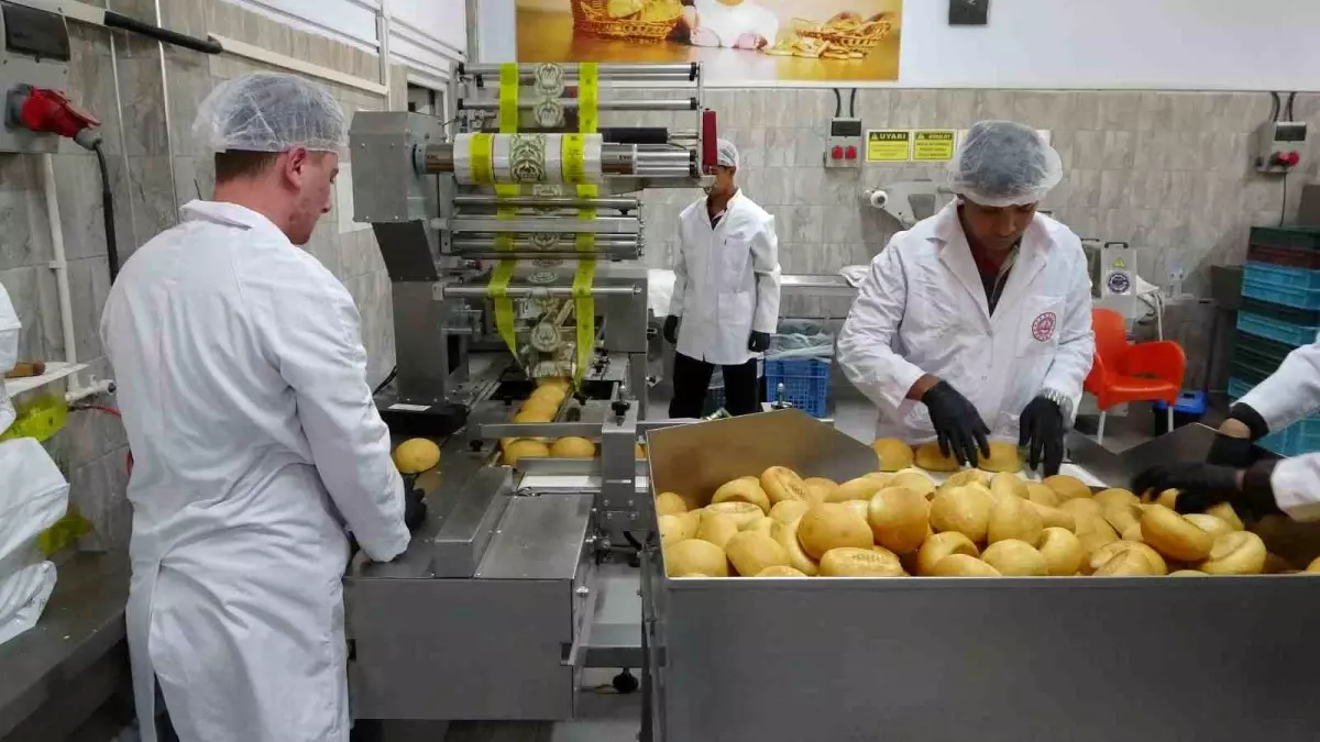 Malatya'da Öğrenciler Ekmek Üreterek Geleceğe Hazırlanıyor