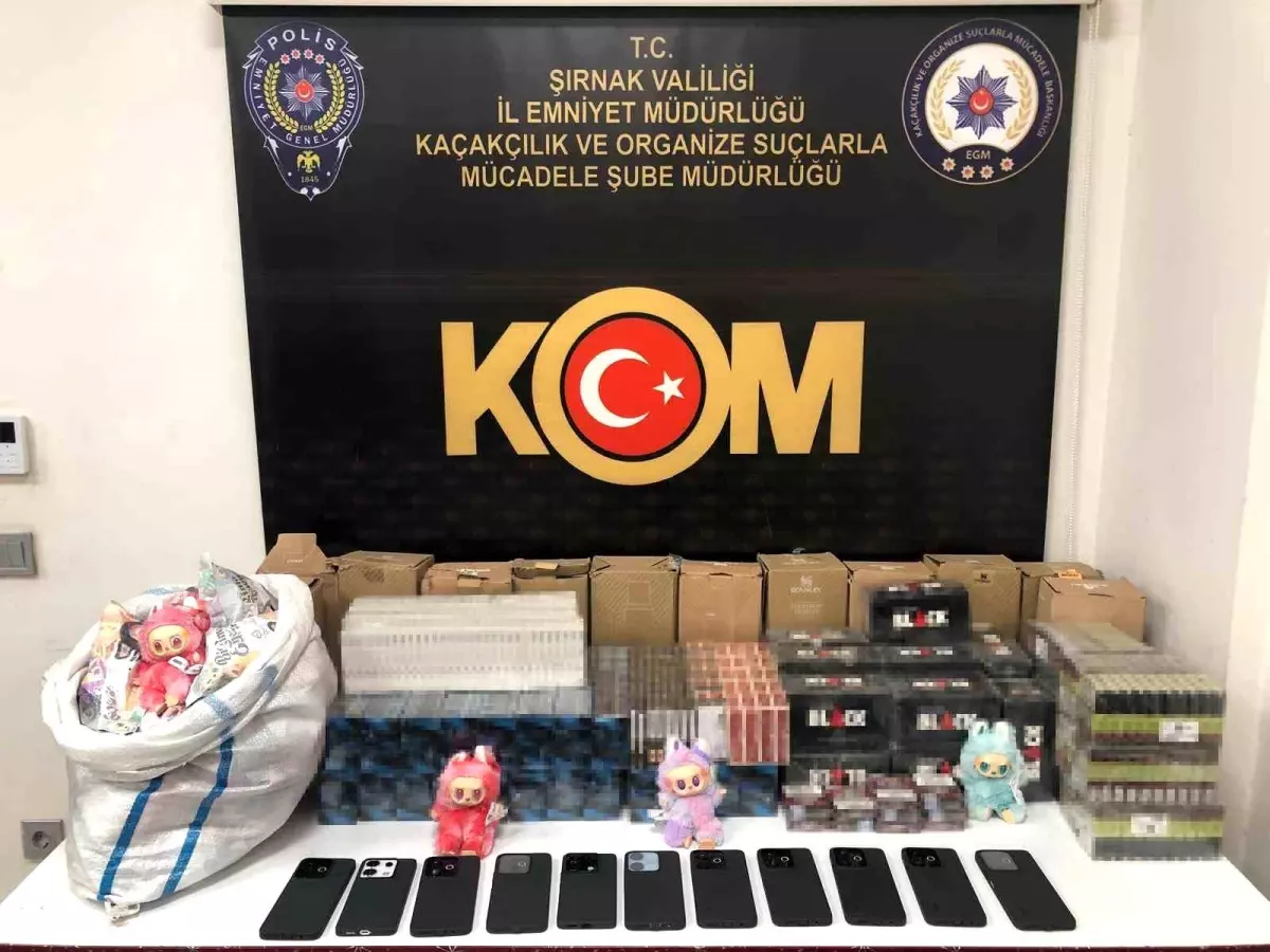 Şırnak'ta Narkotik ve Kaçakçılık Operasyonunda 42 Gözaltı, 2 Tutuklama