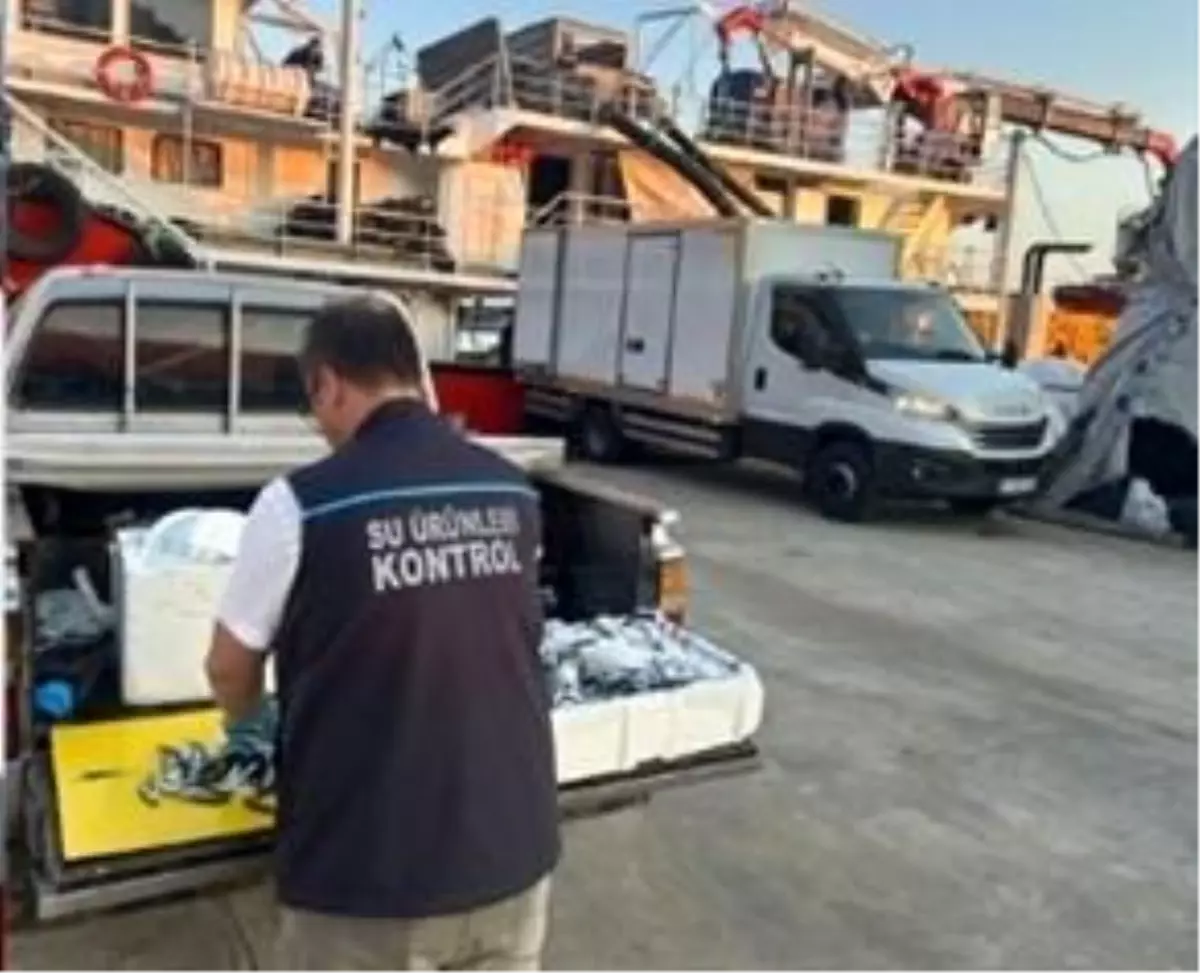 Trabzon'da Hamsi Avına İzin Verilen Noktalar Dışında Çıkarımlara Cezai İşlem